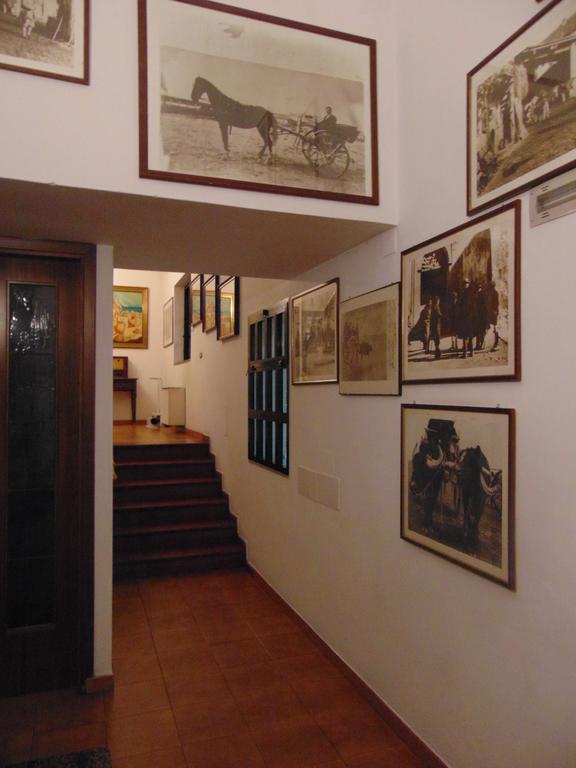 Hotel Calla' Policoro Exterior photo