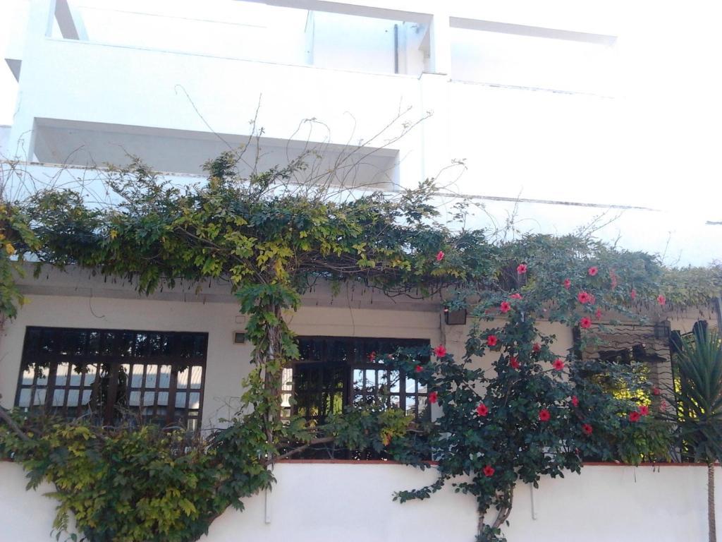 Hotel Calla' Policoro Exterior photo